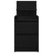 vidaXL Bedside Cabinet with 2 Drawers Black 38x34x80 cm