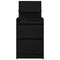 vidaXL Bedside Cabinets with 2 Drawers 2 pcs Black 38x34x80 cm