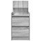 vidaXL Bedside Cabinets with 2 Drawers 2 pcs Grey Sonoma 38x34x80 cm