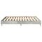 vidaXL Bed Frame No Mattress Concrete Grey 200x200 cm Engineered Wood