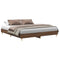 vidaXL Bed Frame No Mattress Brown Oak 200x200 cm Engineered Wood