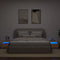 vidaXL Bedside Cabinets 2 pcs with LEDs Artisan Oak 60x35x40 cm