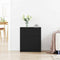 vidaXL Sideboard with Drawer Black 60 x 30 x 70 cm Engineered wood