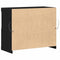 vidaXL Sideboard Black 81 x 37 x 67 cm Engineered wood