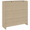 vidaXL Storage Cabinet with Storage Beige 100 x 36 x 102 cm Rattan