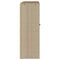 vidaXL Storage Cabinet with Storage Beige 100 x 36 x 102 cm Rattan