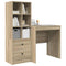 vidaXL Desk with Storage with Drawer 2 pcs Sonoma Oak 70 x 50 x 76 cm