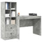 vidaXL Desk with Storage 2 pcs Concrete Grey 100 x 50 x 76 cm