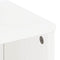 vidaXL Side Cabinets 4 pcs "ODDA" White 40x24x79 cm Solid Wood Pine