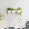 vidaXL Wall Hanging Rack Beige 62 x 10 x 12.5 cm Solid Walnut wood