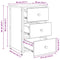 vidaXL Bedside Table Artisan Oak Engineered wood Compact Durable