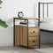 vidaXL Bedside Cabinet with Drawer Artisan oak Iron and particle board