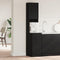vidaXL Kitchen Cabinet with Drawer with Shelf with Storage with Door Black oak Engineered wood
