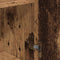 vidaXL Sideboard with Drawer with Shelf with Storage with Door Old wood Engineered wood