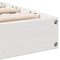 vidaXL Floor Bed Frame White 80x210 cm Solid Wood Pine