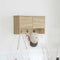 vidaXL Wall-Mounted Coat Rack with Shelf Wall-mounted with Storage with Door Sonoma oak 50 x 20 x 30 cm