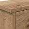 vidaXL Wall-Mounted Coat Rack with Shelf Wall-mounted with Storage with Door Artisan oak 50 x 20 x 30 cm