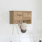 vidaXL Wall-Mounted Coat Rack with Shelf Wall-mounted with Storage with Door Artisan oak 50 x 20 x 30 cm