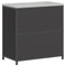 vidaXL Kitchen Storage Cabinet with Shelf with Storage Black Steel