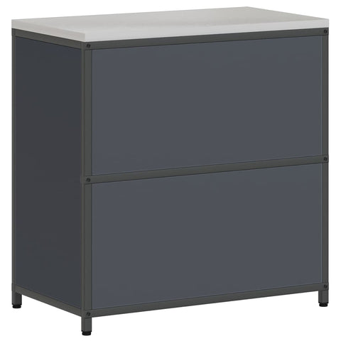 vidaXL Kitchen Storage Cabinet with Shelf with Door Anthracite Steel