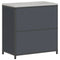 vidaXL Kitchen Storage Cabinet with Shelf with Door Anthracite Steel
