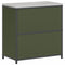 vidaXL Kitchen Storage Cabinet with Shelf with Door Olive green Steel