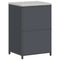 vidaXL Kitchen Storage Cabinet with Shelf with Door Anthracite Steel