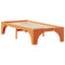 vidaXL Floor Bed Frame with Storage Brown 100 x 200 cm Solid pine wood