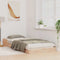 vidaXL Bed Frame Brown 100 x 200 cm Solid pine wood