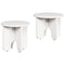 vidaXL Coffee Table Set 2 pcs White Solid pine wood