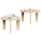 vidaXL Coffee Table Set 2 pcs Natural 47.5 x 47.5 x 27 cm