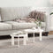 vidaXL Coffee Table Set 2 pcs White 47.5 x 47.5 x 27 cm