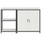vidaXL with Shelf with Storage with Door Adjustable 2 pcs White Cold-rolled steel