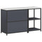vidaXL with Shelf with Storage with Door Adjustable 2 pcs Anthracite Cold-rolled steel