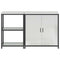 vidaXL with Shelf with Storage with Door Adjustable 2 pcs Galvanised steel