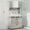 vidaXL Bathroom Furniture Set 2 pcs Concrete grey 76.5 x 35 x 64 cm