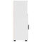 vidaXL Bathroom Cabinet with Shelf High gloss white 30 x 35 x 95 cm