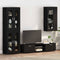 vidaXL Wall-mounted Cabinet Black 55 x 29 x 100 cm Engineered wood