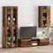 vidaXL Wall-mounted Cabinet Old wood 55 x 29 x 100 cm Engineered wood