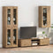 vidaXL Wall-mounted Cabinet with Shelf Artisan oak 55 x 29 x 100 cm