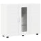 vidaXL Sideboard with Shelf White 55.5 x 29 x 100 cm Engineered wood