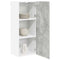 vidaXL Hanging cabinet with Shelf Riga Concrete Grey 40 x 31 x 100 cm