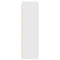 vidaXL Hanging cabinet Riga White 20 x 29.5 x 100 cm Engineered Wood