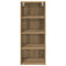 vidaXL Hanging cabinet with Shelf Riga Artisan Oak 40 x 29.5 x 100 cm
