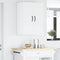 vidaXL Kitchen Wall Cabinet with Shelf 2 pcs White 30 x 31 x 80 cm