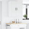 vidaXL Kitchen Wall Cabinet with Door High Gloss White 30 x 31 x 80 cm