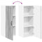 vidaXL Kitchen Wall Cabinet with Shelf Grey Sonoma 40 x 31 x 100 cm