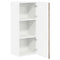 vidaXL Kitchen Wall Cabinet Old Wood 40 x 31 x 100 cm Engineered Wood