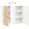 vidaXL Kitchen Wall Cabinet with Shelf Sonoma Oak 50 x 31 x 100 cm