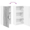 vidaXL Kitchen Wall Cabinet with Shelf Grey Sonoma 50 x 31 x 100 cm